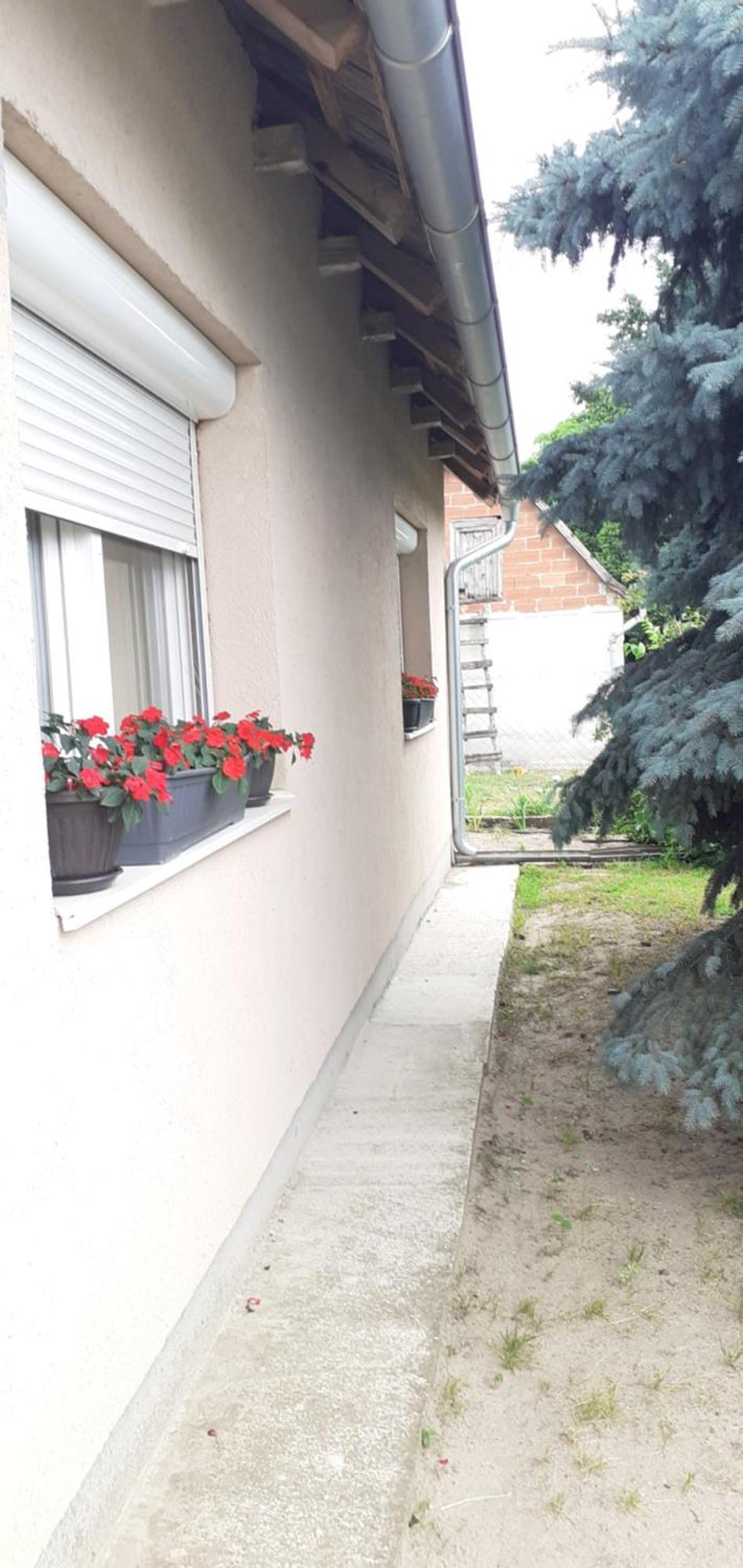 Sobe Masa Casa de hóspedes Subotica Exterior foto